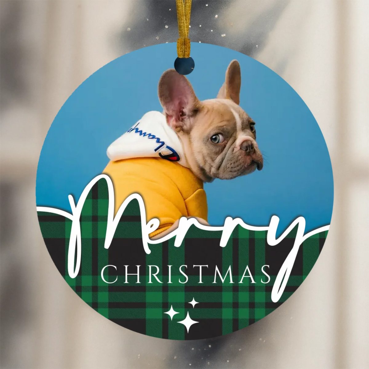 mockup-ornaments-1